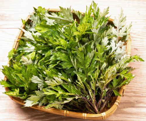 京都美容系　オレンジ・レアリゼ　